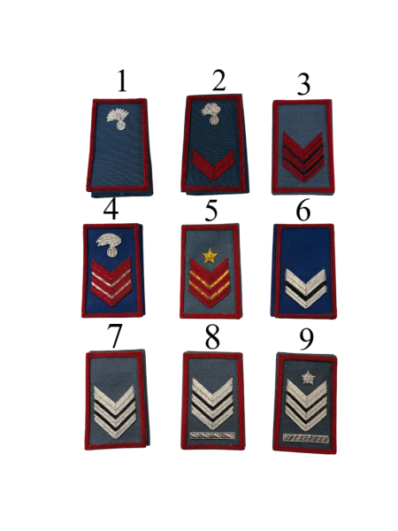 GRADI RICAMATI AZZURRI APPUNTATI, BRIGADIERE